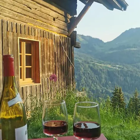 Chalet L'oiseau Bleu *