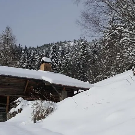 Chalet L'oiseau Bleu *