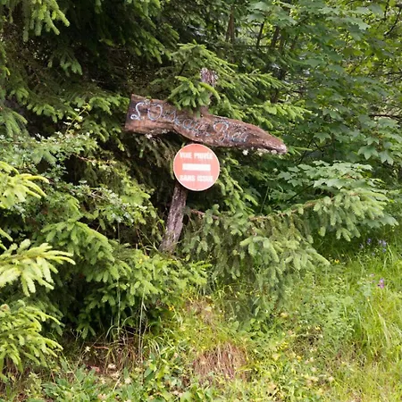 Chalet L'oiseau Bleu